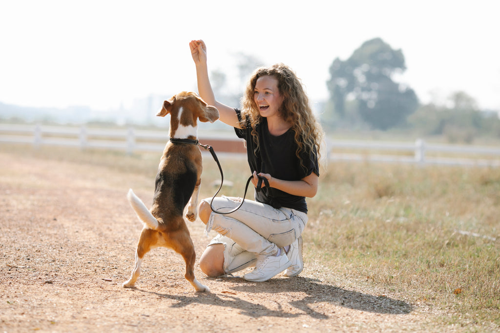 woman teaching dog to beg YourPetPA NZ