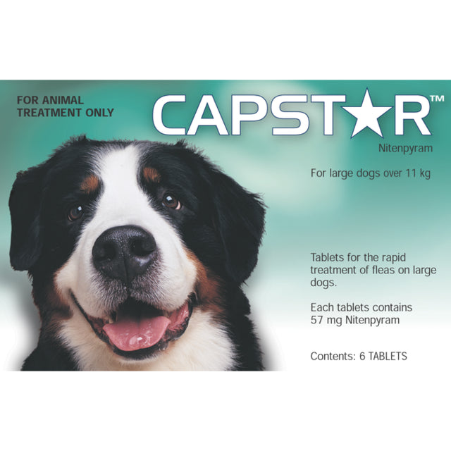 Capstar For Dogs Over 11kg  (6 tablets)