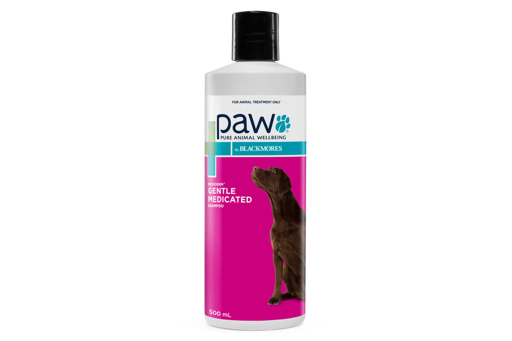 Paw by Blackmores Gentle Medicated Shampoo 500ml - Front - Your Pet PA NZ