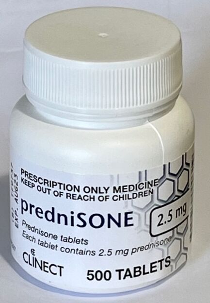 Clinect PrednisONE 2.5mg 500s - Front - Your Pet PA NZ