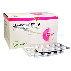 Clavaseptin Tablet 250mg - per tablet