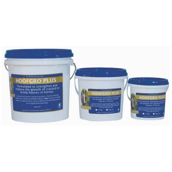 Equigold Hoof Grow Plus 3kg - Pail sizes - Pet PA NZ