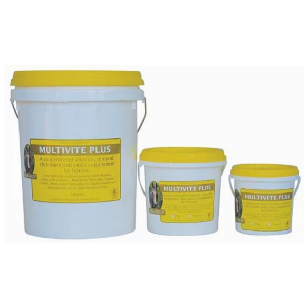 Equigold Multivite Plus - Pail Sizes - Pet PA NZ