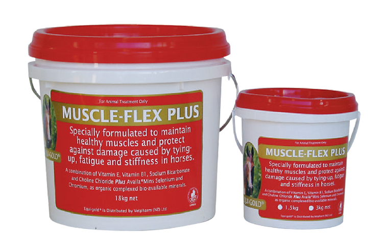 Equigold Muscle Flex Plus 3kg - Pail Sizes - Pet PA NZ