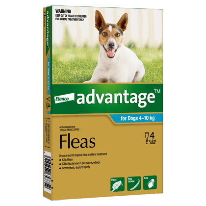 Elanco Advantage Dogs 4-10kg 4pk - Front - Your Pet PA NZ