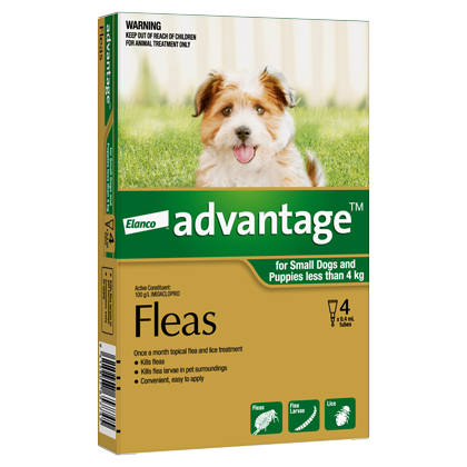 Elanco Advantage Small Dogs and Puppies 0-4kg 4pk - Front - Your Pet PA NZ