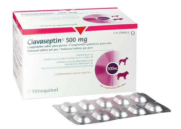 Clavaseptin Tablet 500mg - per tablet