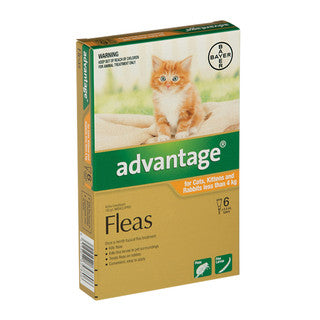 Advantage flea 2024 treatment for cats