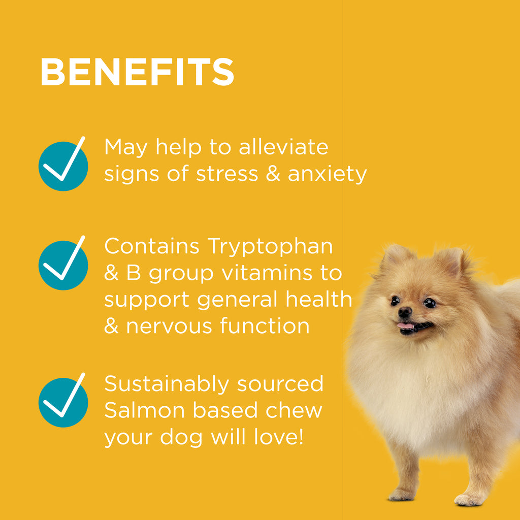 PAW Complete Calm Small Dog Benefits-Pet PA NZ