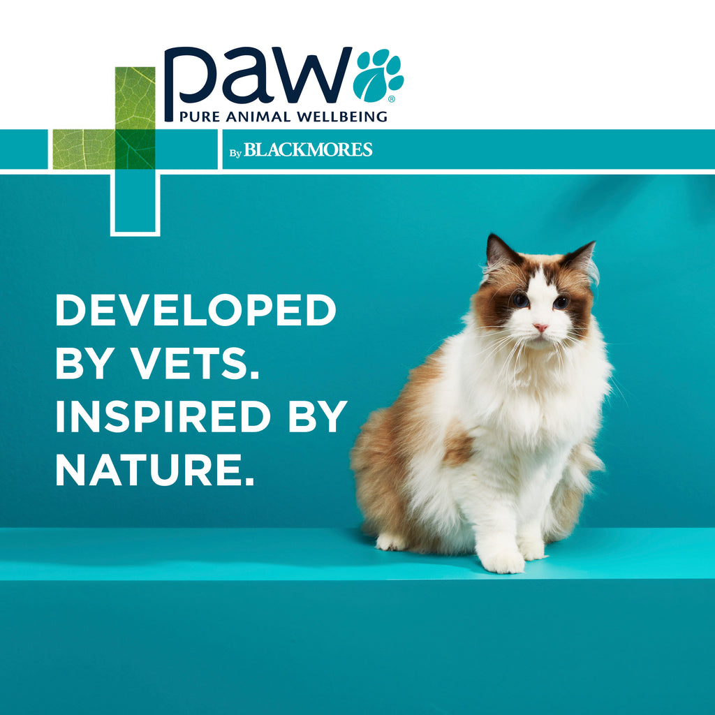 PAW Complete Calm for Cats Vets-Pet PA NZ