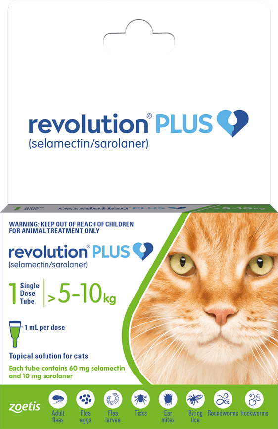 Revolution for deals cats best price