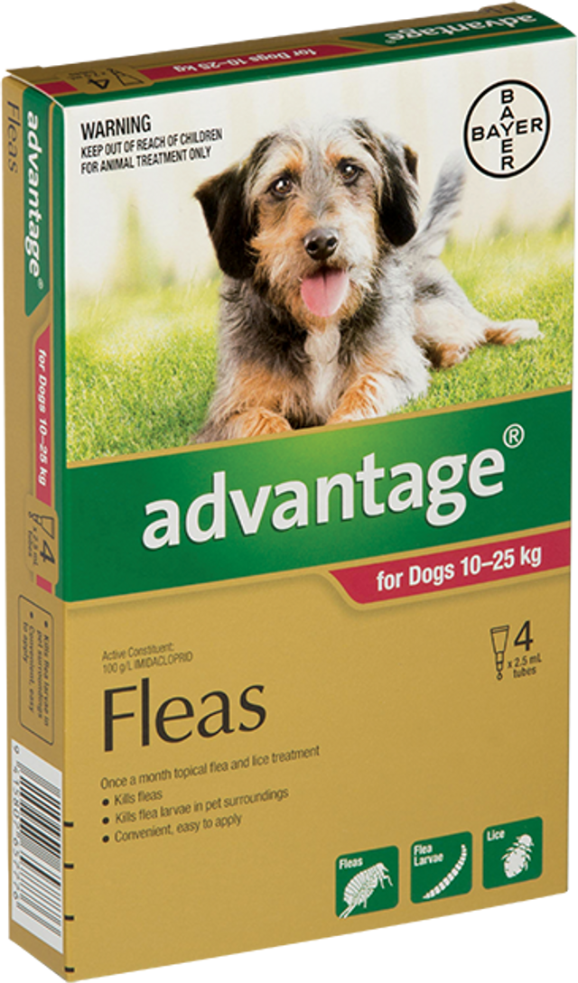 Advantage topical flea clearance treatment for dogs