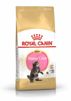 Royal Canin Maine Coon Kitten Dry Food