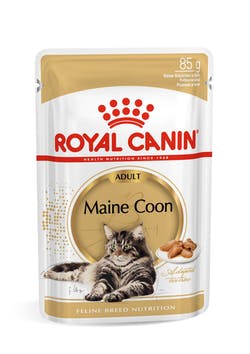 Royal Canin Maine Coon Wet Cat Food 12 x 85g pouches