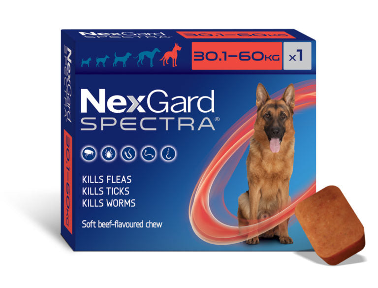 Nexgard Spectra Extra Large 30.1-60kg Dog - 1 Chew - NZ Wide Shipping